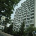 IMG 6235