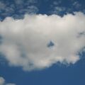IMG 2515