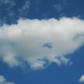 IMG 2517