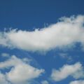 IMG 2530