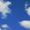IMG 2534