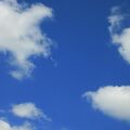 IMG 2535