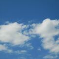 IMG 2536