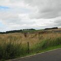 IMG 6273
