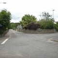 IMG 6278