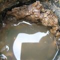 IMG 6281