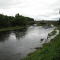 IMG 6289