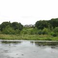 IMG 6290
