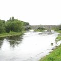 IMG 6291