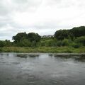 IMG 6294