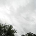 IMG 6299