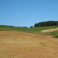 IMG 6362