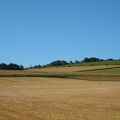 IMG 6363