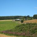 IMG 6364