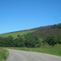 IMG 6369