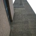 IMG 7827