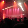 IMG 3193