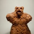 IMG 9858