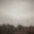 IMG 5750