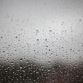IMG 5753