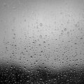 IMG 5755