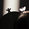 IMG 7824