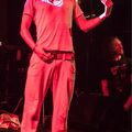 IMG 7591